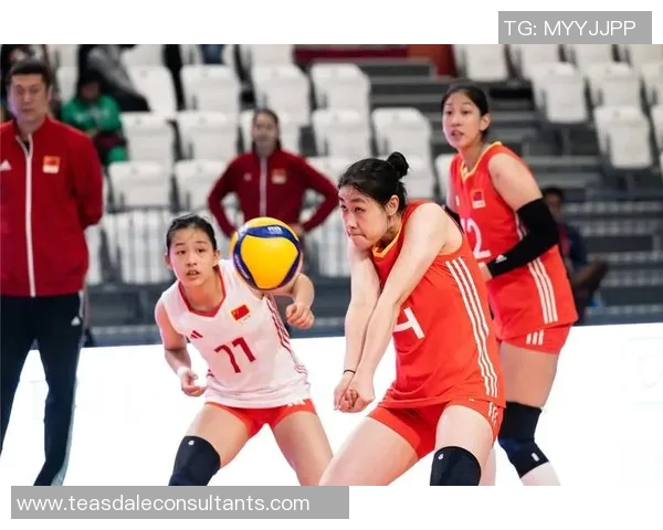 成都排球队实力强劲荣登排球个人能力排行榜第二名的背后故事