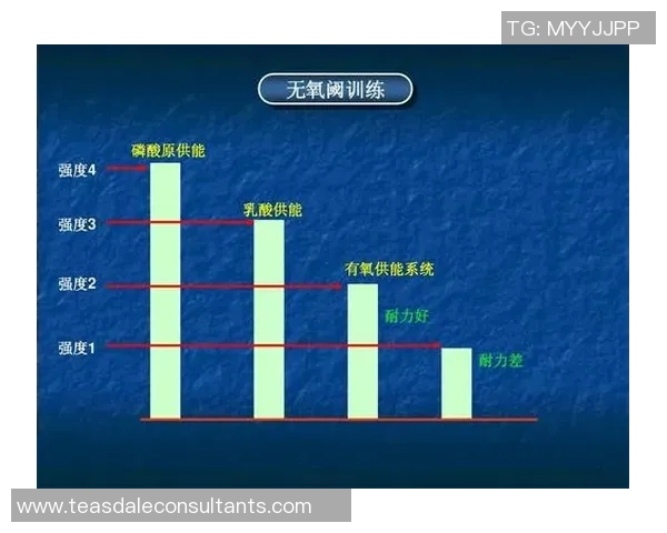 成都羽毛球队反击战术解析与实战应用探讨 成都羽毛球队反击战术解析与实战应用探讨