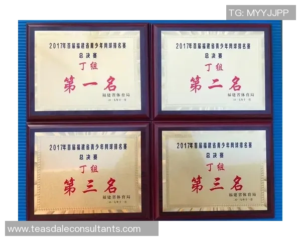 杭州网球队总决赛个人能力分析与表现评估