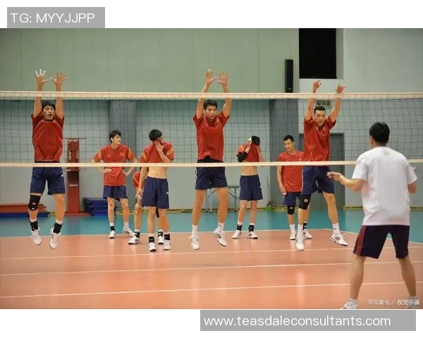 深圳排球队的整体压制探秘：深度解析排球战术与团队协作