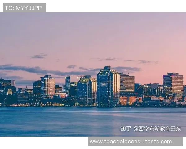 深度对话陈伟排球人生的奋斗与梦想探索之旅