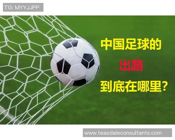 专访李伟：解密网球成功之道