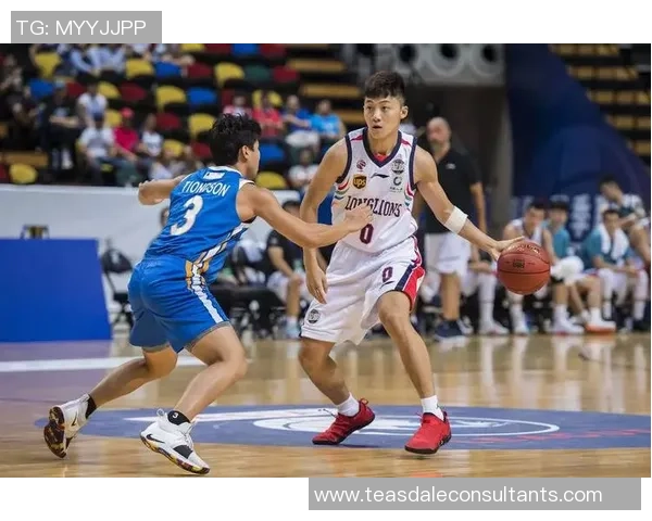 聚焦篮球：广州篮球队的节奏话题