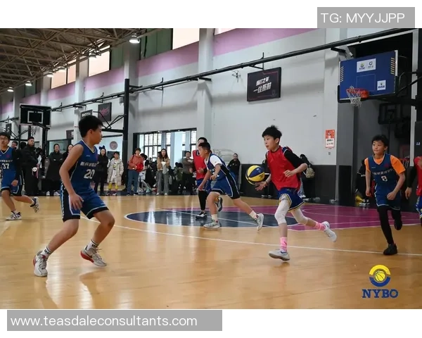 篮球纪实:记录深圳篮球队的成长故事 篮球纪实:记录深圳篮球队的成长故事