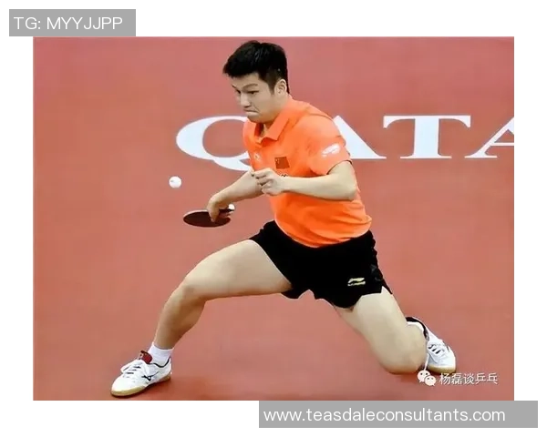 杨磊专访:回顾网球历程