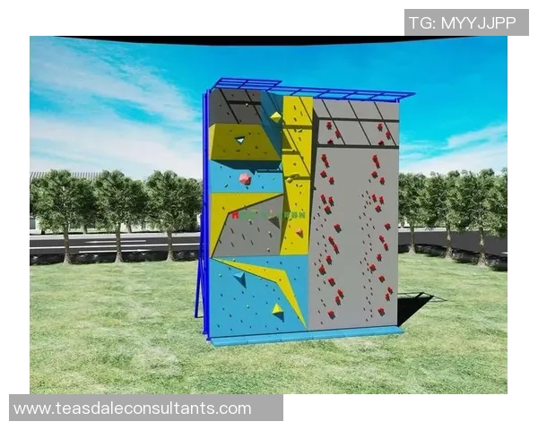 攀岩热议:北京攀岩队的灵活性争议