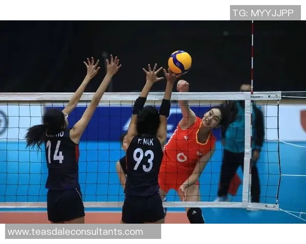 排球热议:南京排球队的技术争议 排球热议:南京排球队的技术争议