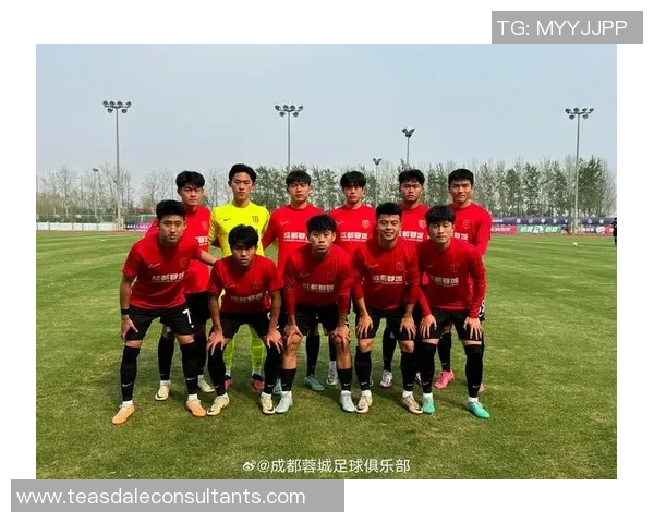 专业解读:成都足球队的区域防守打法