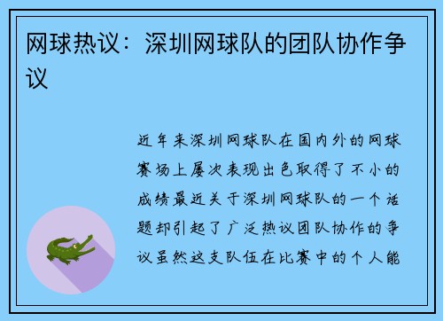 网球热议:深圳网球队的团队协作争议