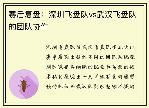 赛后复盘:深圳飞盘队vs武汉飞盘队的团队协作